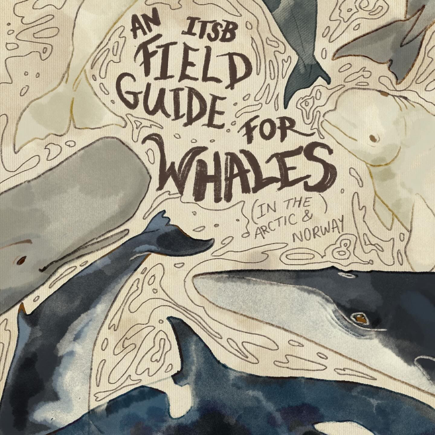 About a month ago we posted an ITSB field guide for birds and now we…