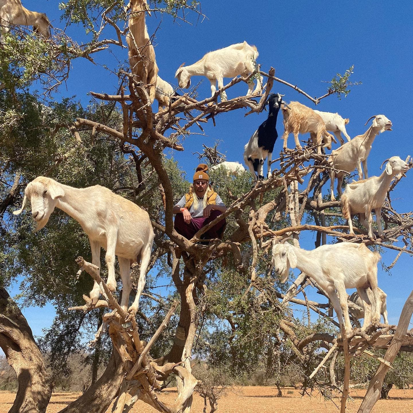 I’ve spent the last month exploring the Middle East & Northern Africa while fini (7/7)