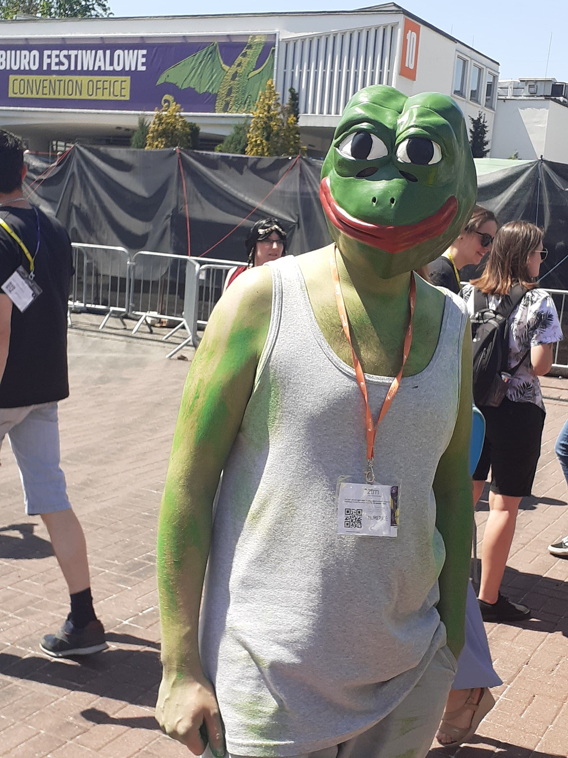 Pepe costume at the Pyrkon convention