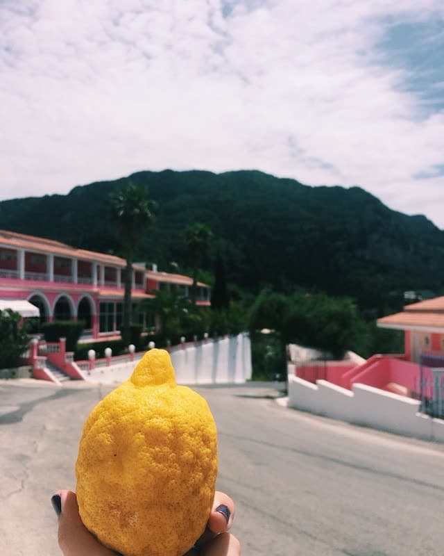 When life hands you lemons, take a trip to and use them with your tequila shots.