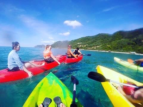 GOOD NEWS! The sea has calmed down and it's a beautiful day. Wake up and sign up for the…