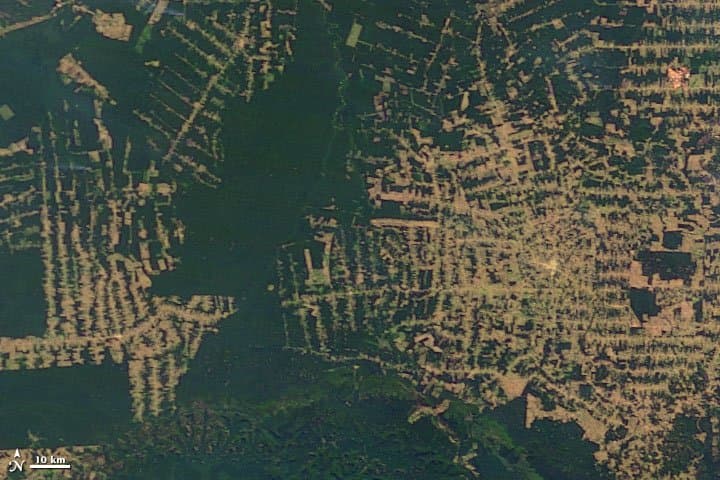 Rondônia from Orbit - 2006