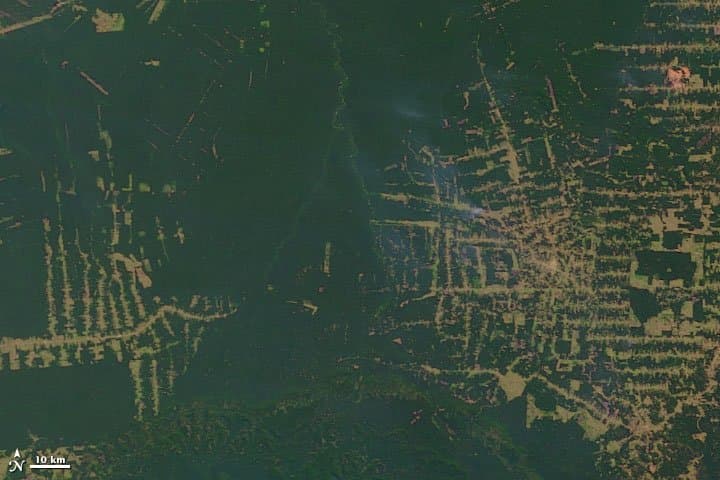 Rondônia from Orbit - 2001
