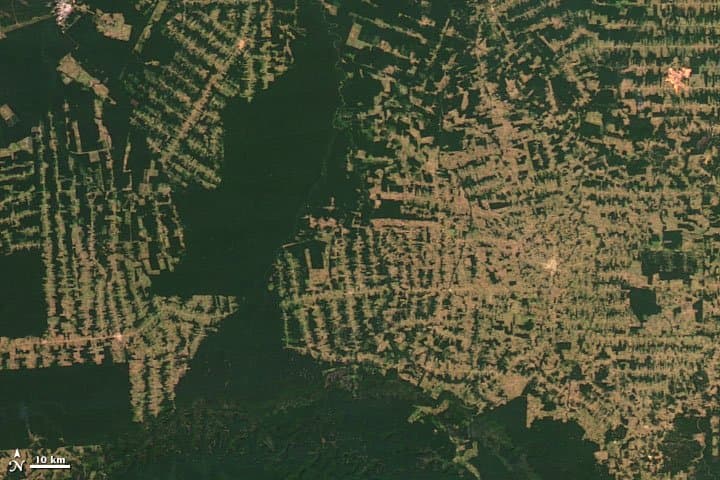 Rondônia from Orbit - 2012