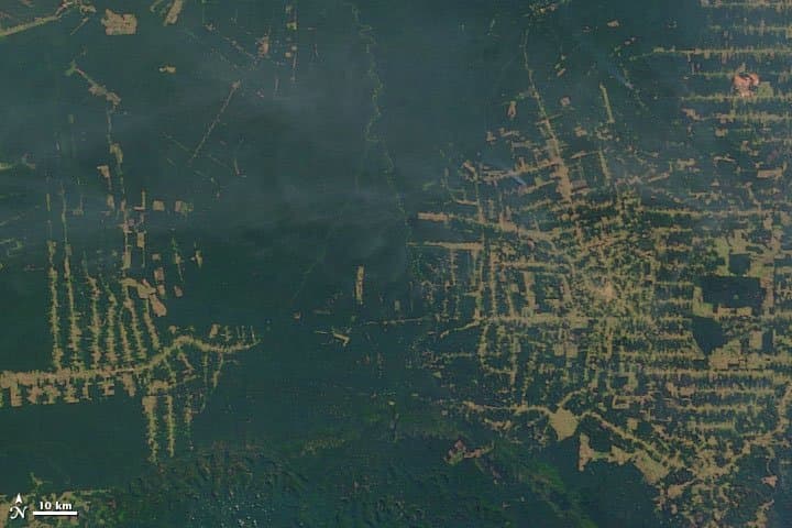 Rondônia from Orbit - 2002