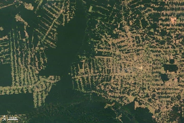 Rondônia from Orbit - 2008