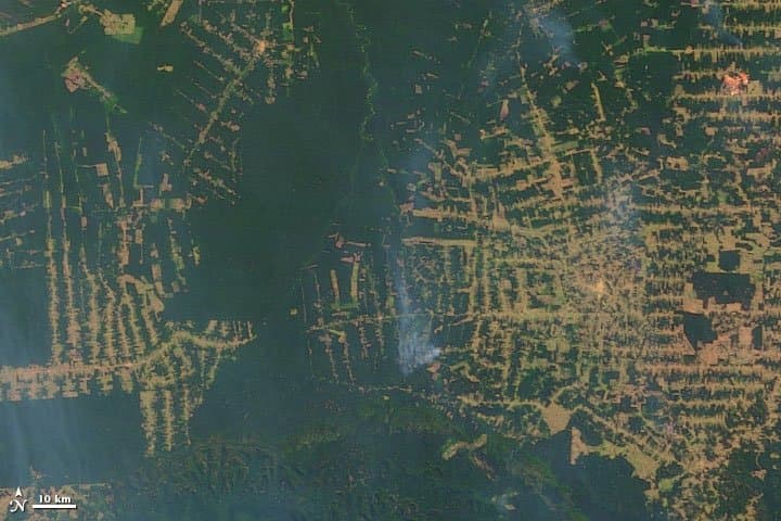 Rondônia from Orbit - 2004