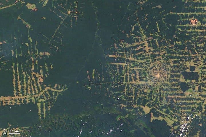 Rondônia from Orbit - 2003
