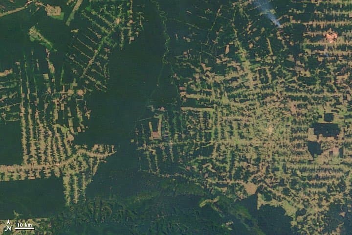 Rondônia from Orbit - 2005