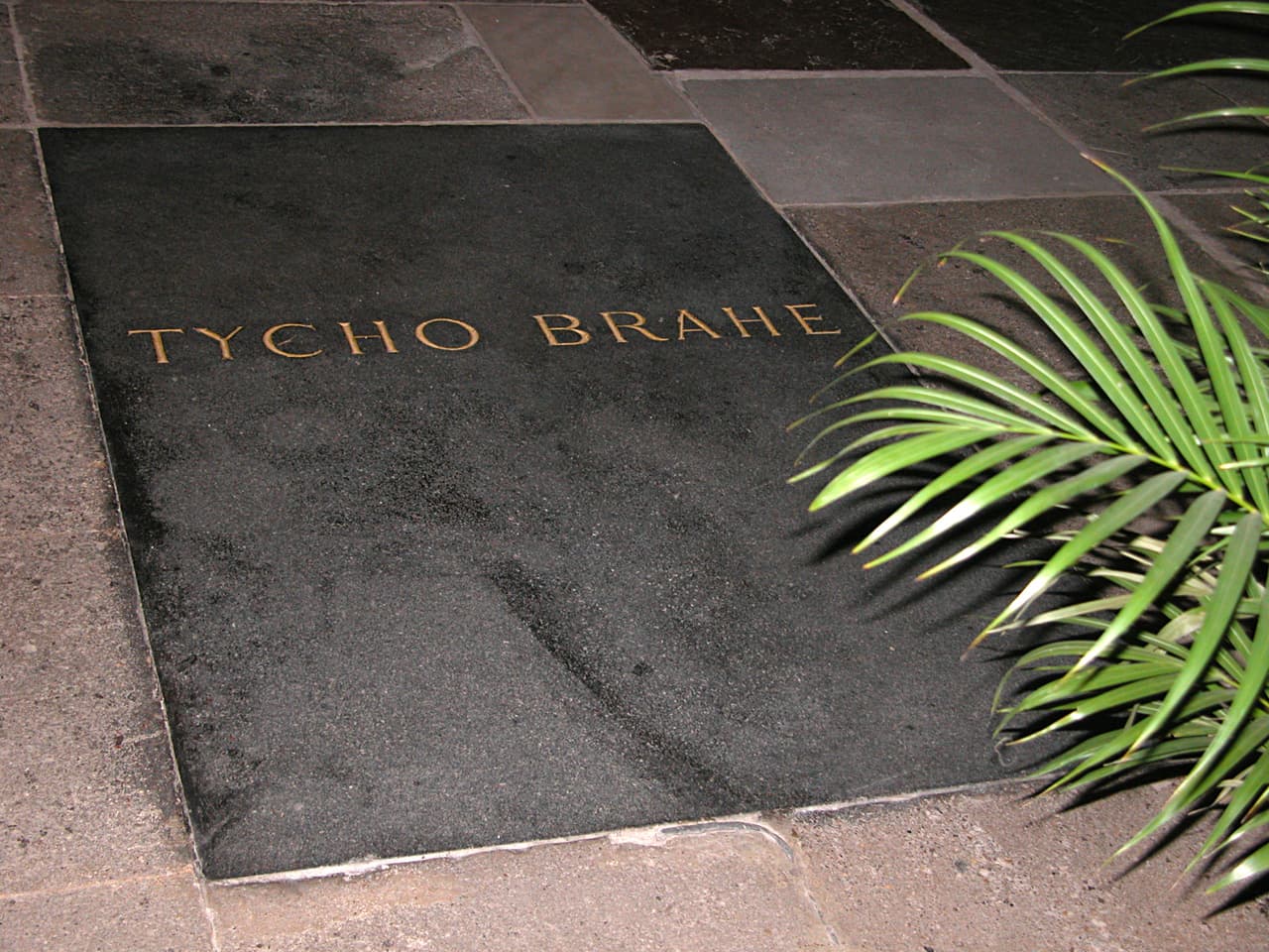 The Death of Tycho Brahe