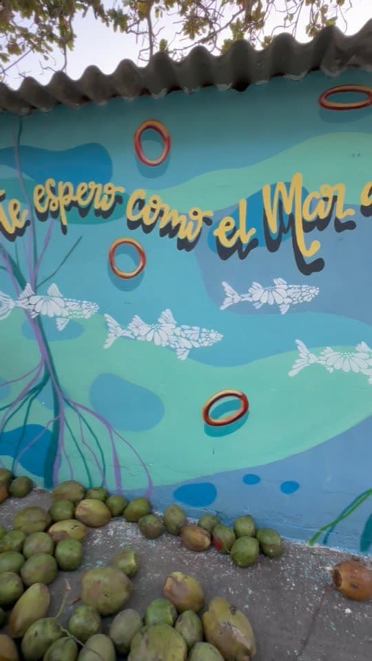 ️TE ESPERO COMO EL MAR AL RIO Intervención artística realizada en el barrio las flores ,…