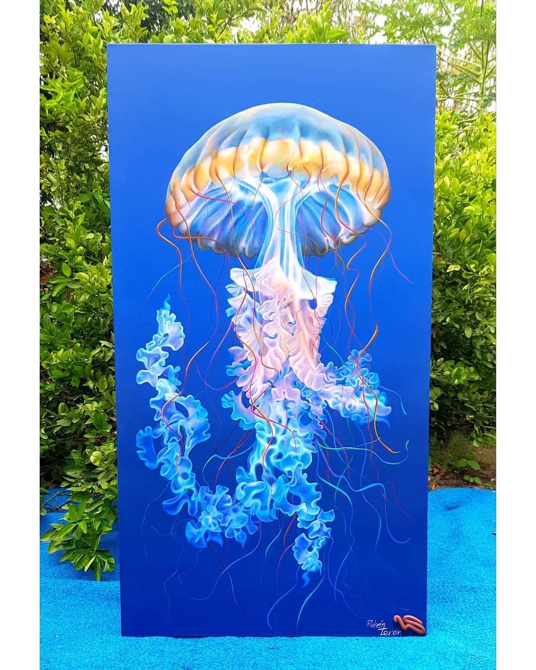 Las medusas son lindas hasta que las tocamos, por eso he decido acariciarlas con mi…