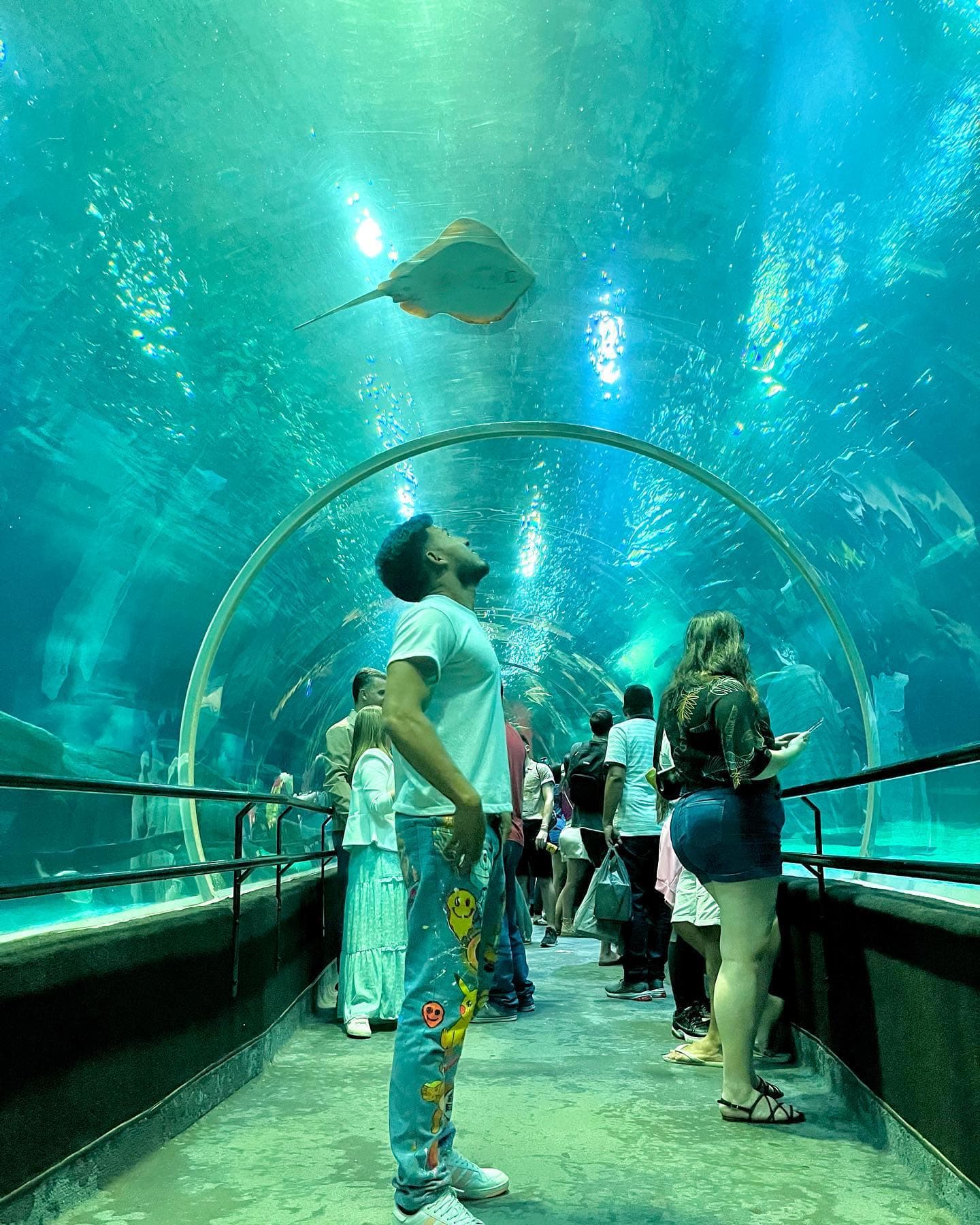 Río de Janeiro tiene el acuario más importante de sur America con aproximadamente 3.200… (1 of 4)
