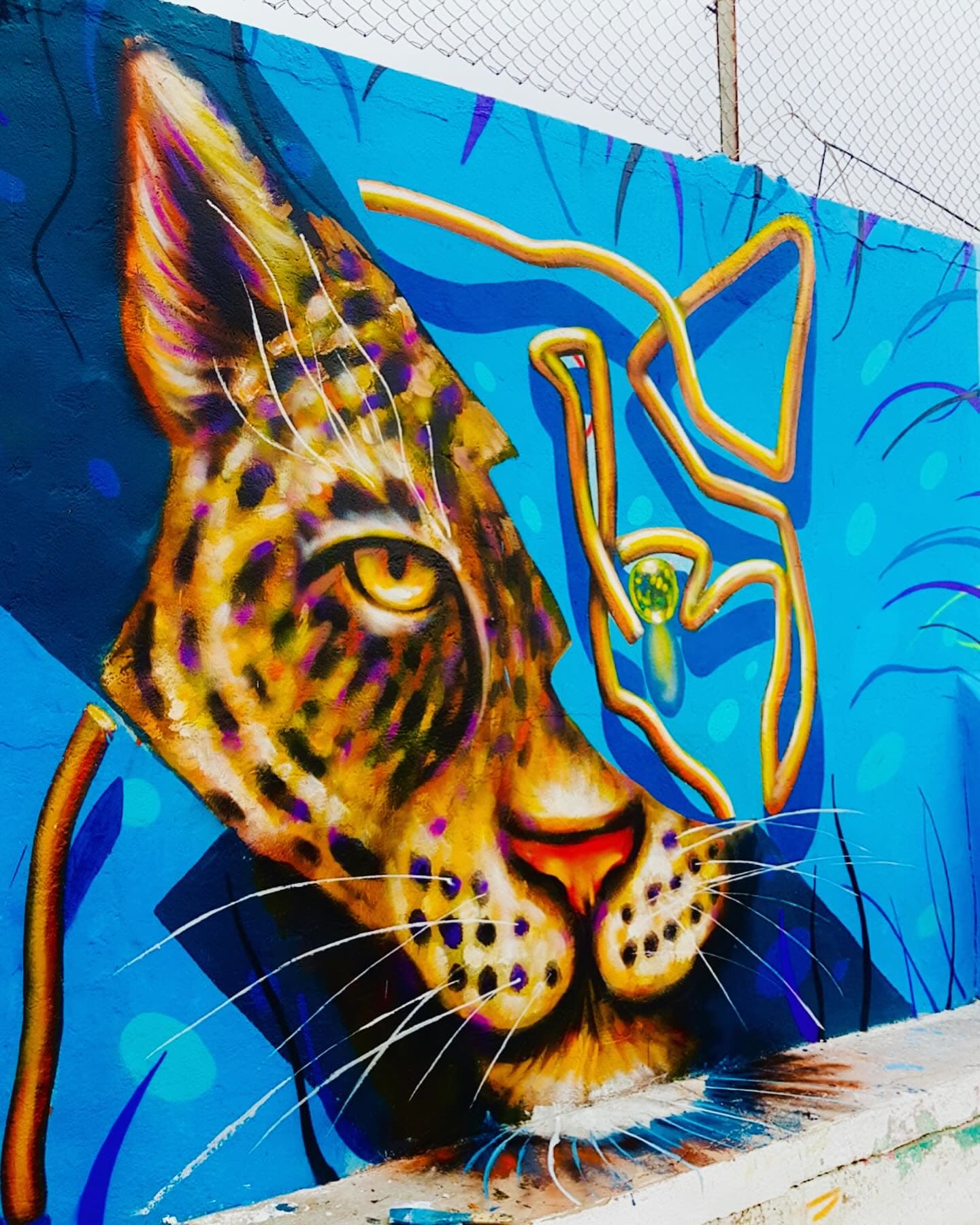 Tayrona obra realizada hace una semana para el festival de graffiti @citygraffmeeting en…