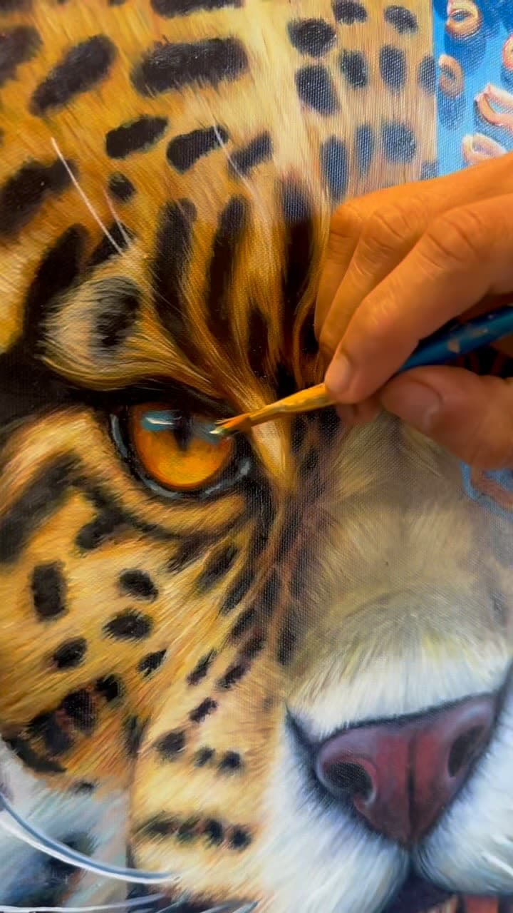 Tayrona es un jaguar de la Sierra Nevada, pero ahora lleva una bufanda.