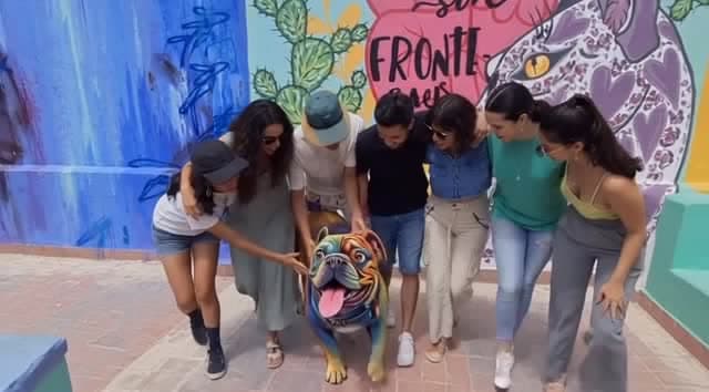 En Backpackers La Gaditana no solo disfrutarás del mejor ambiente mochilero… ¡también de…