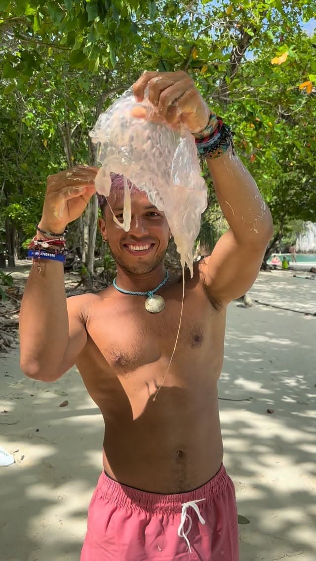 Experiencias con las criaturas que pinto Hoy el mar me permitió sostener entre mis manos…