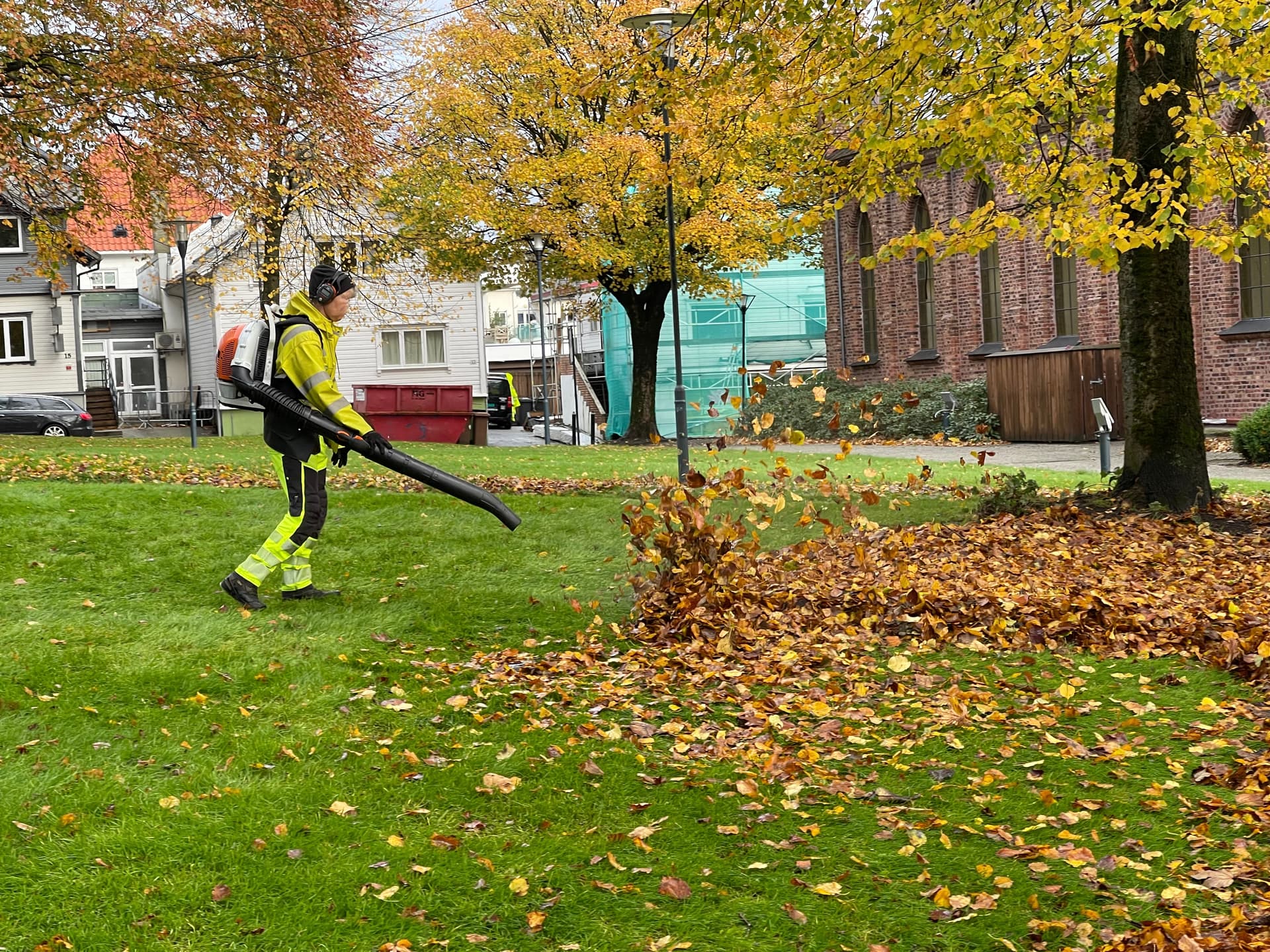Stihl blower (2021)