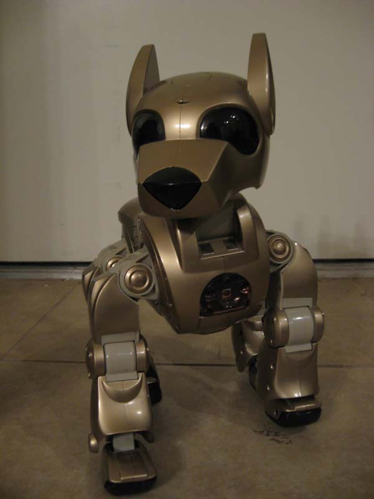 Natalie Jeremijenko - Feral Robotic Dogs - environmental-justice robotics