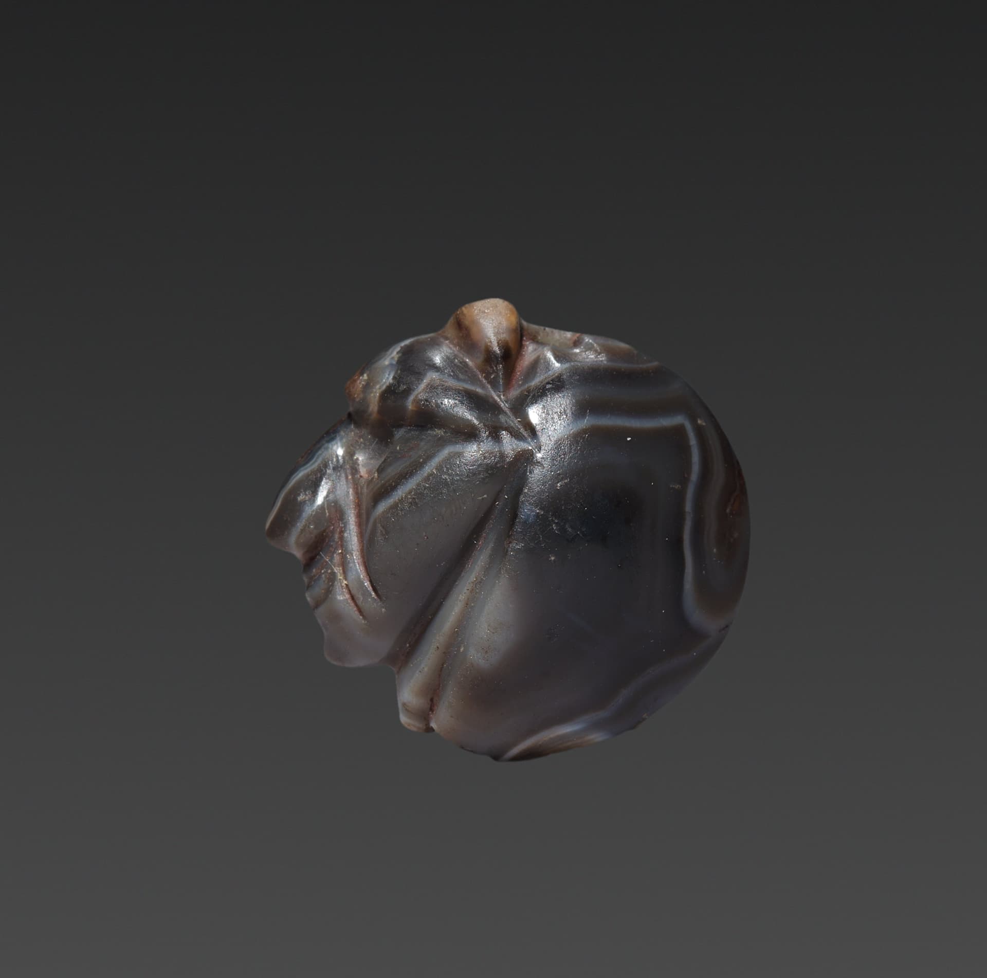 Seal Amulet in the form of a Lion's Head