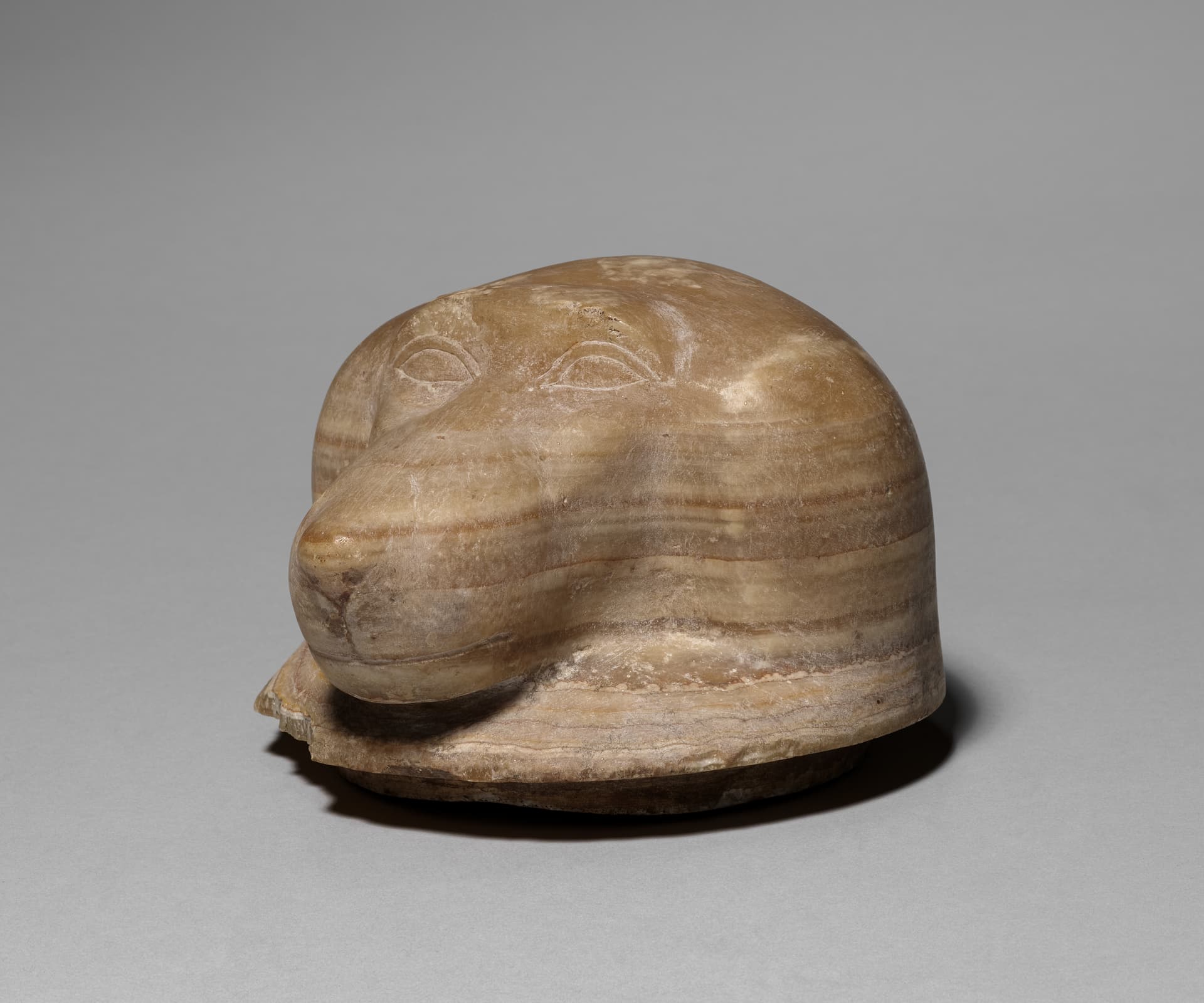 Canopic Jar with Baboon's Head (lid)