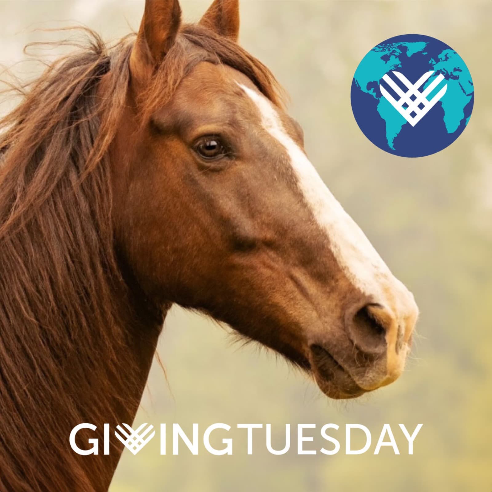 ️ Giving Tuesday is just ONE week away! ️