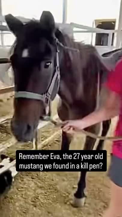 Eva Marie. Our little round eared twenty seven year old princess poptart is officially loaded and on her way t