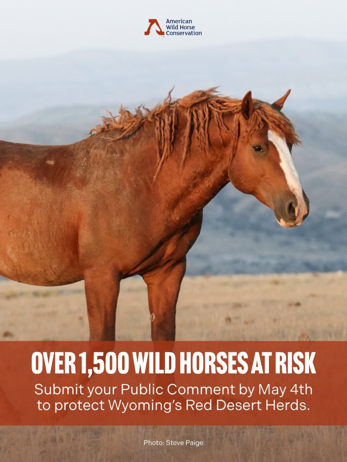 The Bureau of Land Management (BLM) wants your input on new management plans for wild horses in Wyoming’s Red
