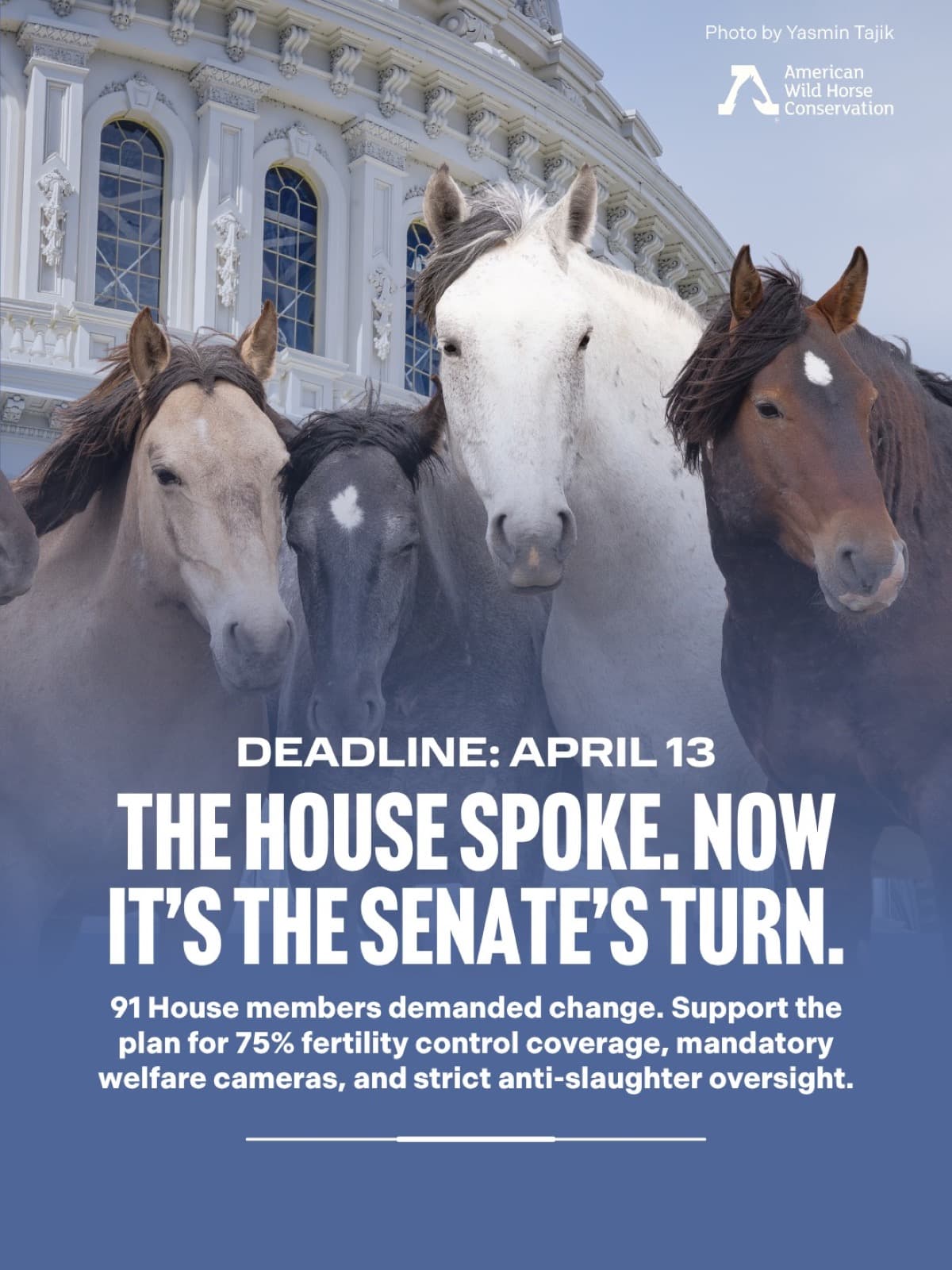 ️ Following a historic show of support in the House, the fight for our wild horses and burros moves to the U.S