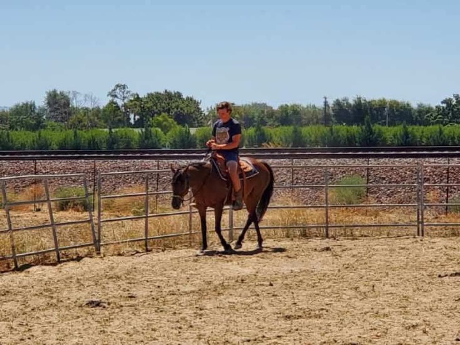 In 2011, a Mustang mare named Little Bit was abandoned at a boarding barn. At only 13.3 hands (or ~55 inches),