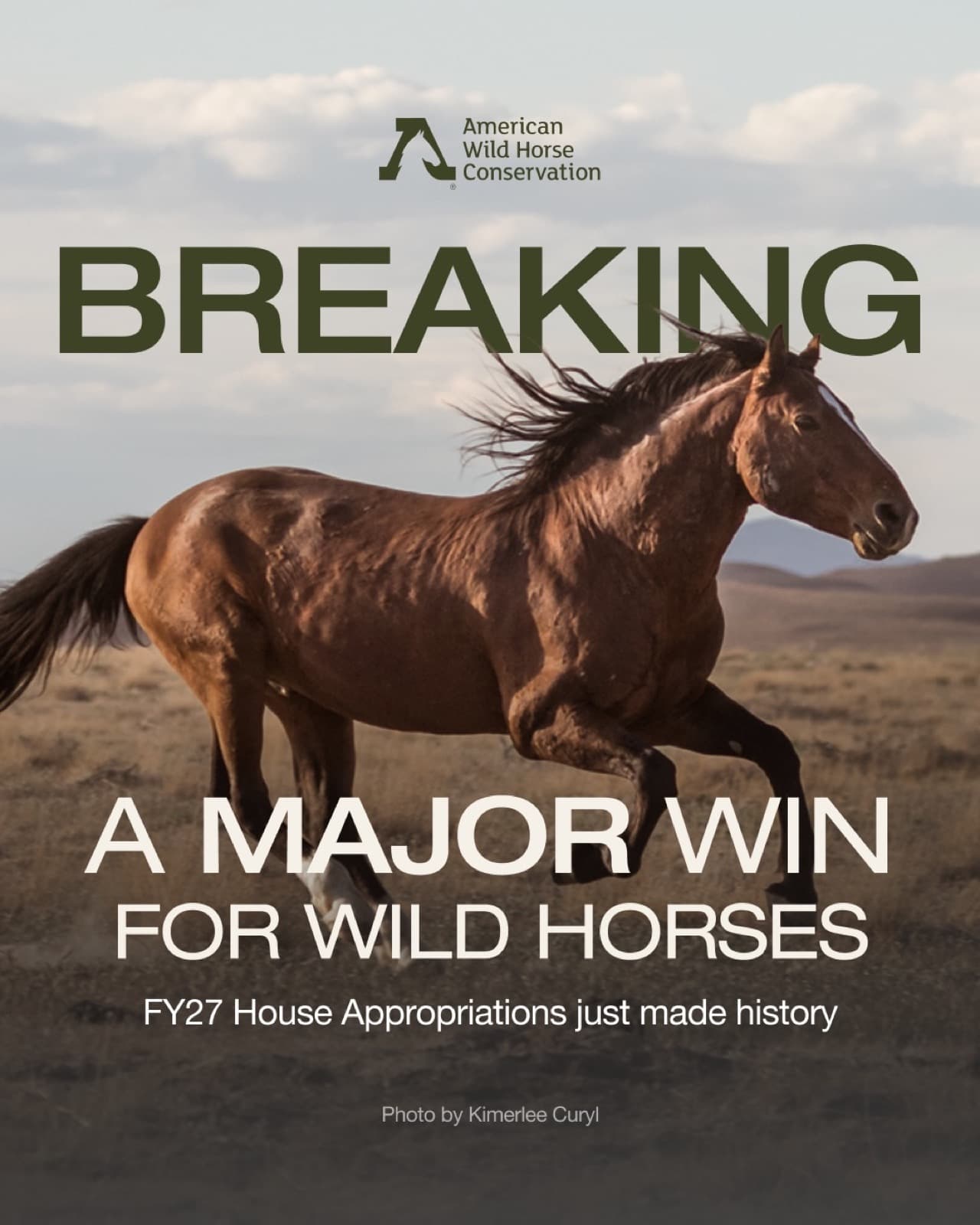 ‼️ MAJOR WIN FOR HUMANE WILD HORSE MANAGEMENT ‼️