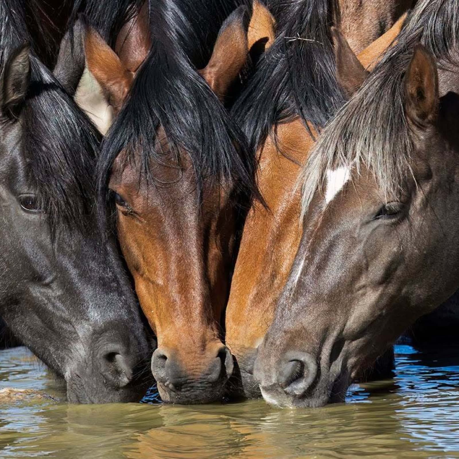 This is what effective conservation looks like.