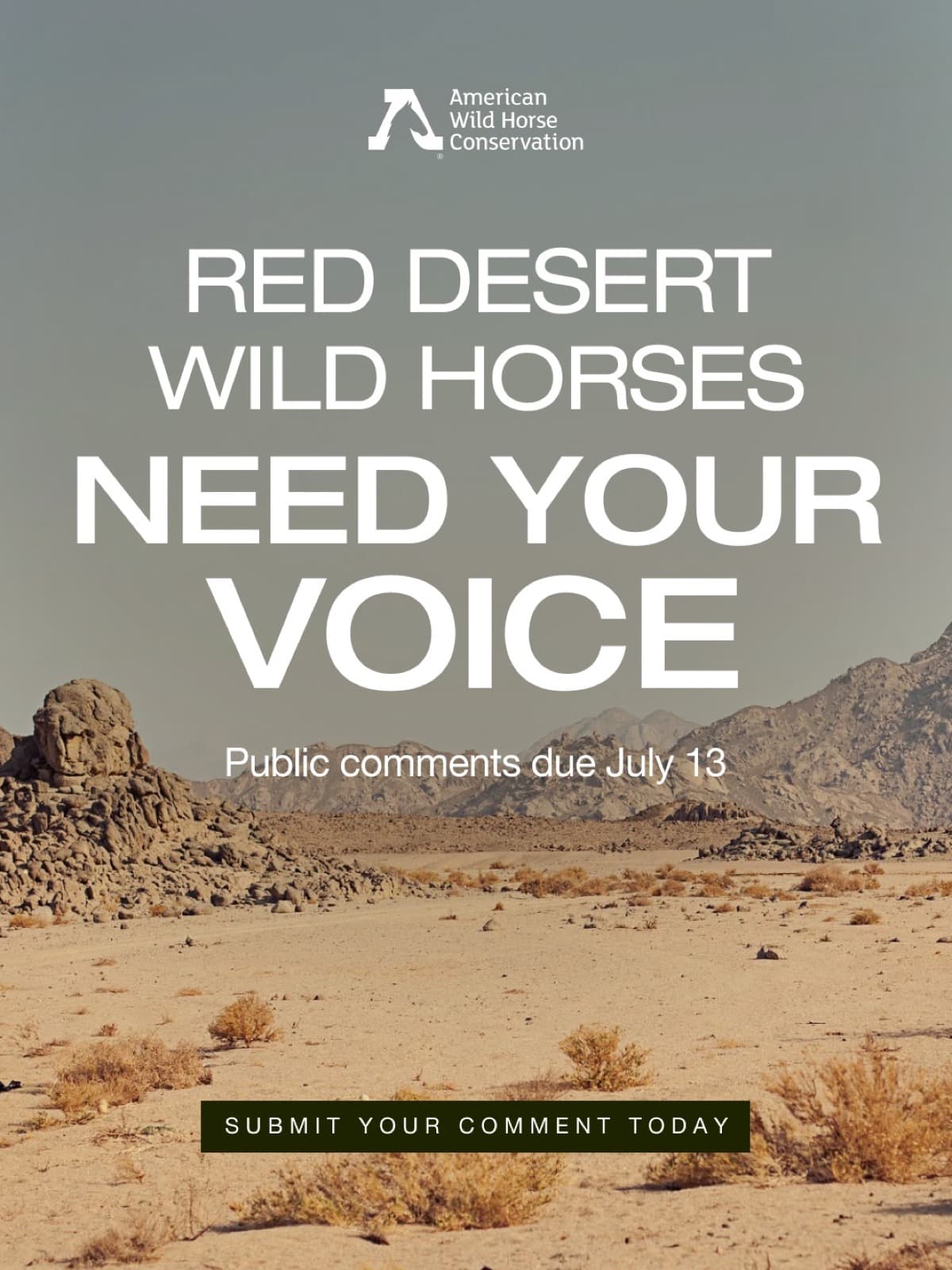 Red Desert wild horses need your voice , and the deadline is almost here.