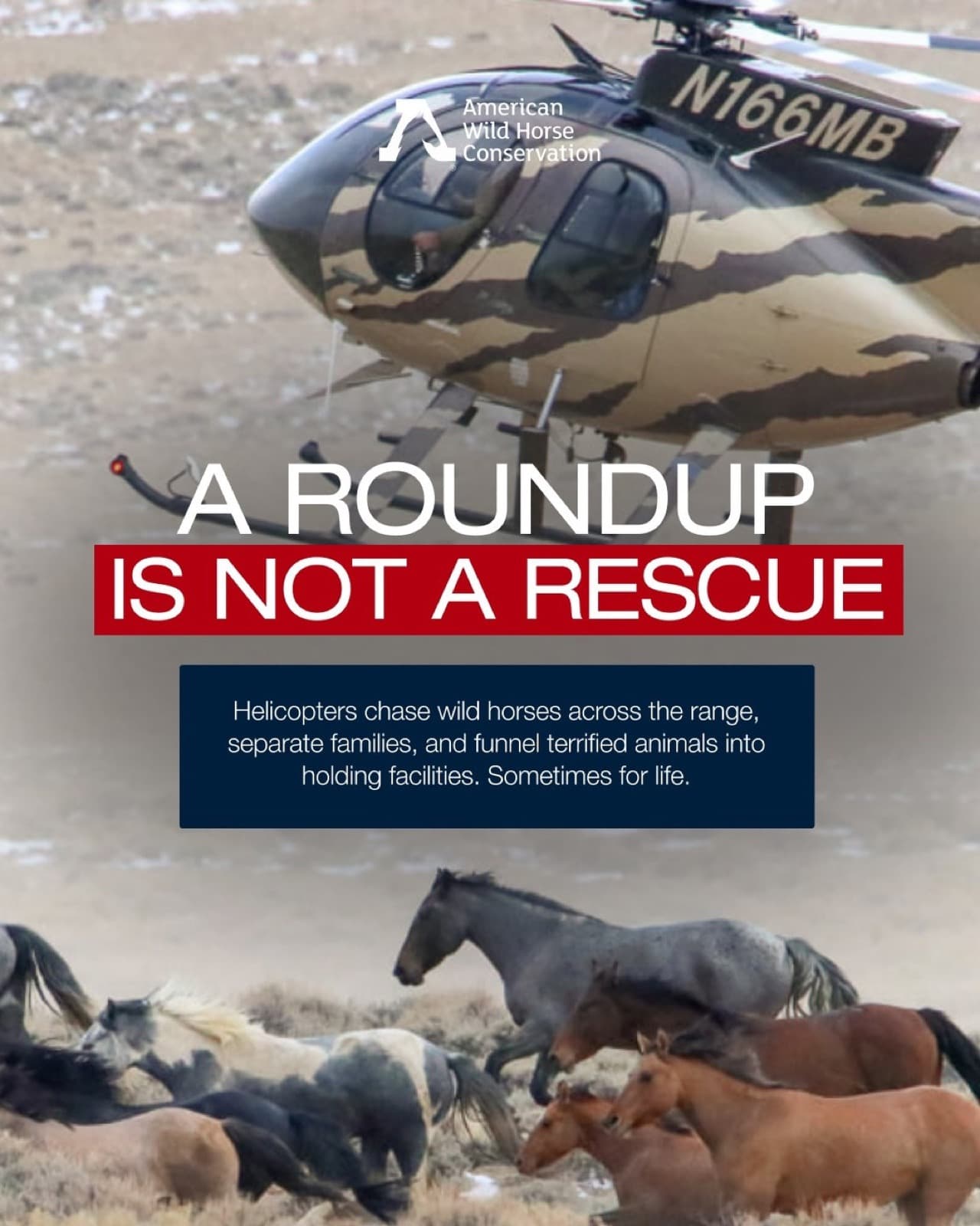 A helicopter roundup is not a rescue.