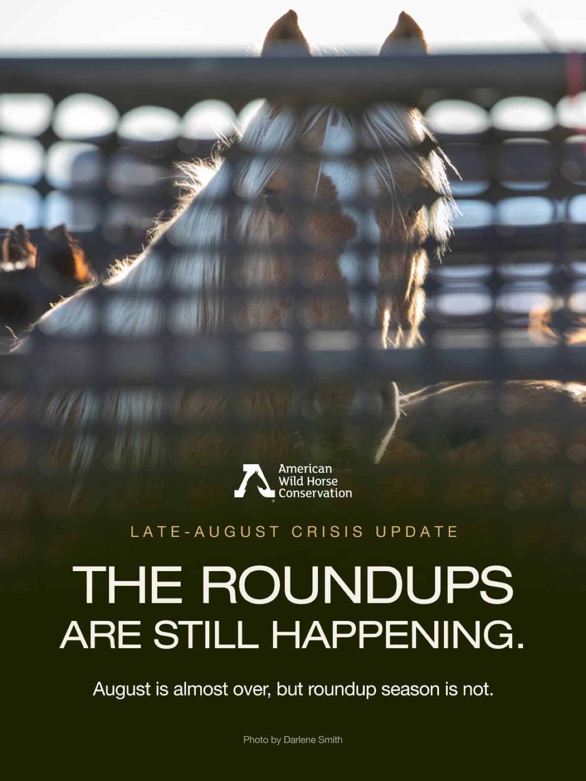 August is almost over, but roundup season is not.