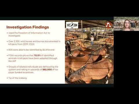 Webinar with AWHC about AIP and solution