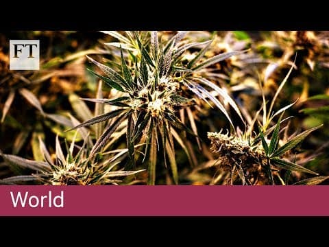 Financial Times: First Legal Sale of Recreational Cannabis in Canada