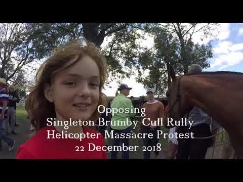 Opposing Singleton Brumby Cull Rally