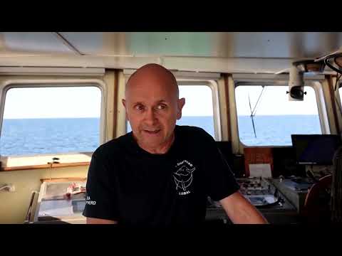 The crew on the hunt for Greece's illegal octopus traps | REUTERS