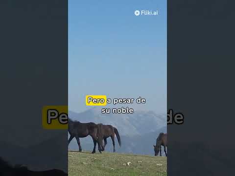 Historia del caballo asturcon - Poni de Asturiass