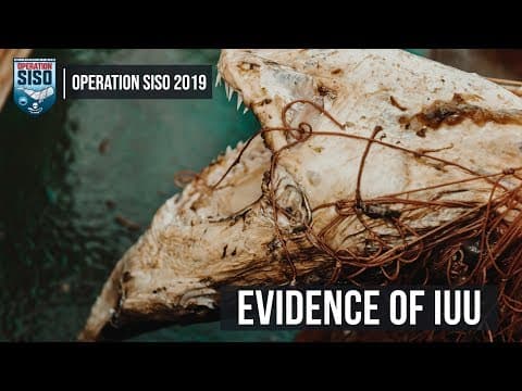 Sea Shepherd Retrieves iIllegal Driftnet in the Mediterranean