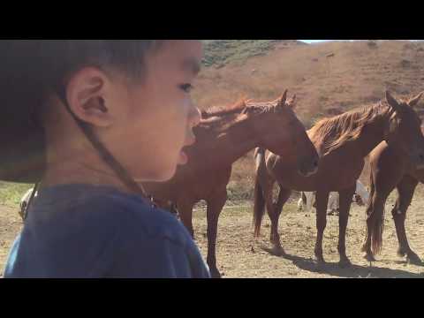 Return to Freedom American Wild Horse Sanctuary (bonus footage)