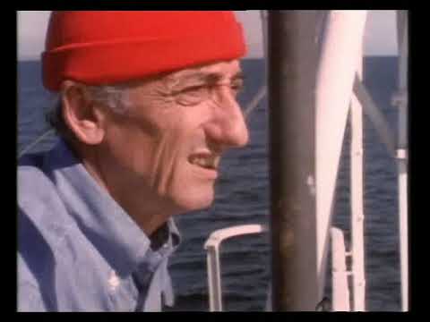 E10 Return Of The Sea Elephants - The Undersea World Of Jacques Cousteau - 8 February 1970