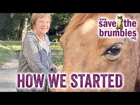 How We Started, Save The Brumbies, STB Adam