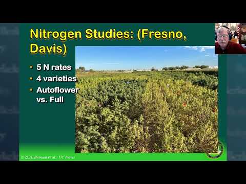 Berkeley Cannabis Research Center: cannabis and hemp plant science