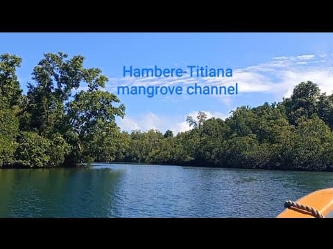 BEAUTIFUL MANGROVE CHANNEL and clear waters of Kolombangara Island
