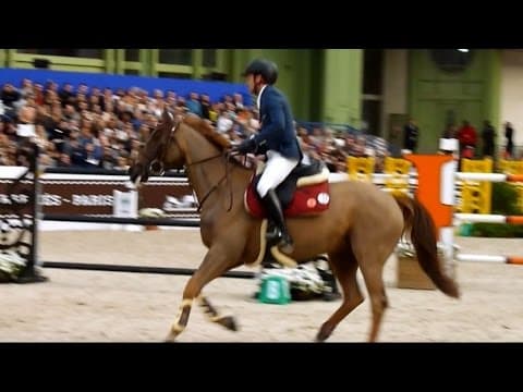 Simon Delestre, Hermès Ryan des Hayettes, Saut Hermès 2017 (friday, 150)
