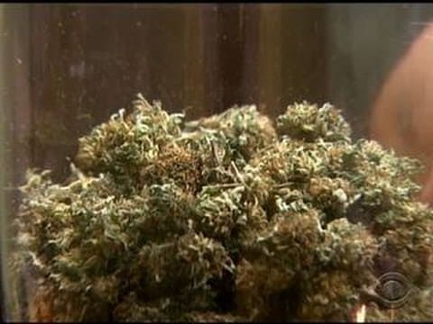 An Iraq Veteran Among the First to Buy Recreational Marijuana in Denver