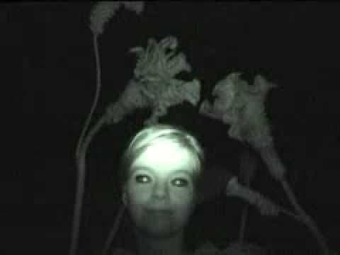 björk - it's in our hands