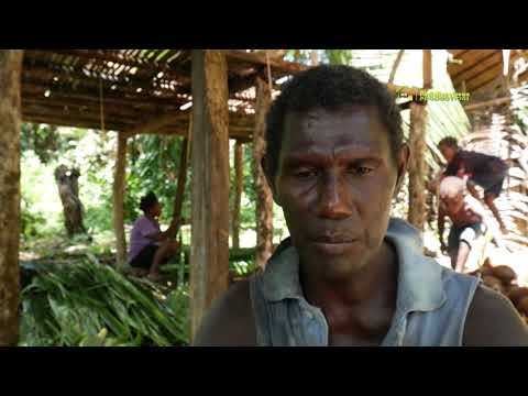 The Havick copra story, told in Solomon Islands Pijin